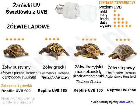 Jakie żarówki UVB wybrać dla żółwi lądowych, sklep terrarystyczny Warszawa